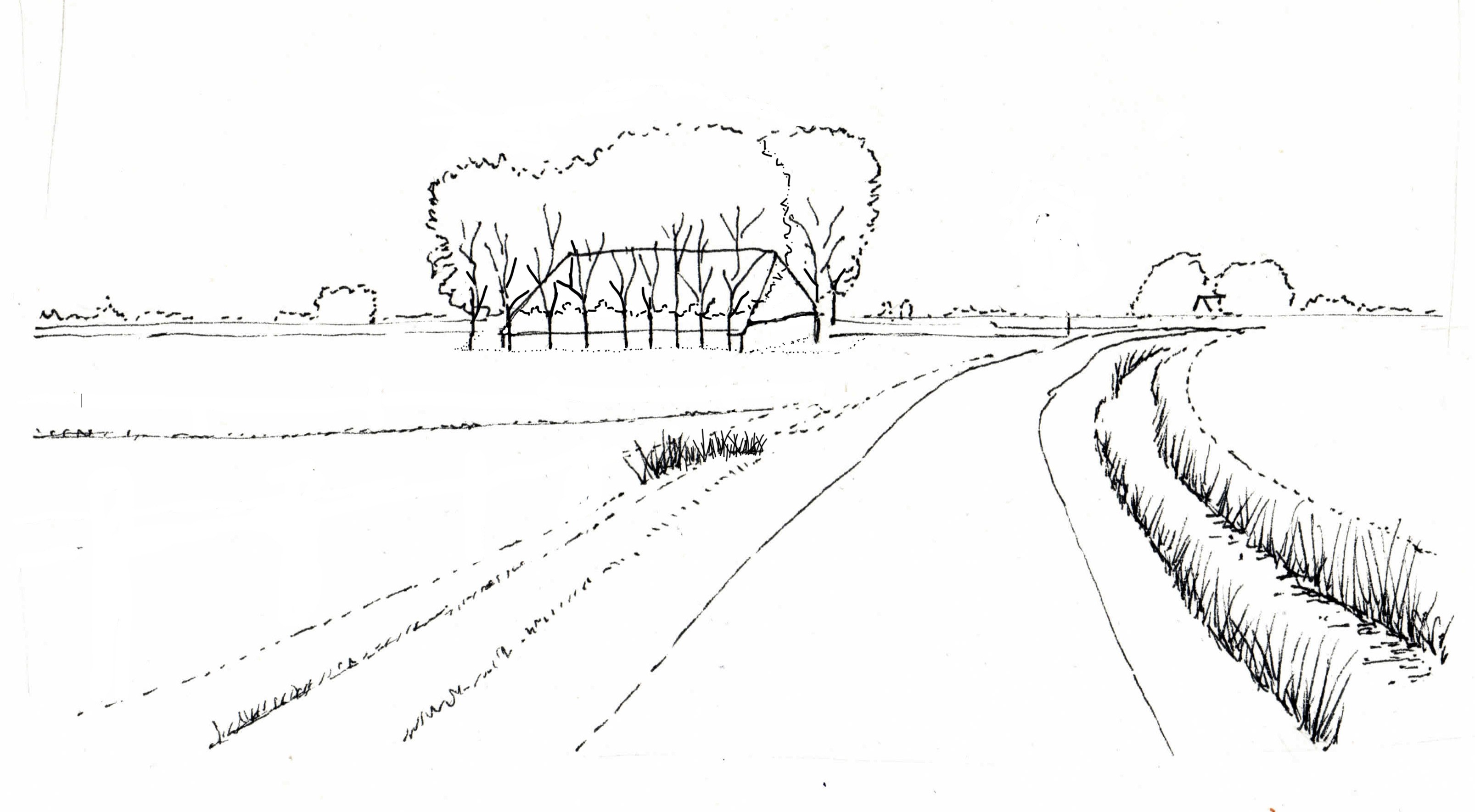 Boerderij met beplanting ligt als groen eiland in het verder open landschap