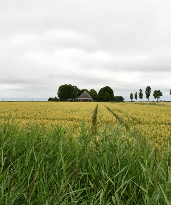 Beeld: Provincie Groningen
